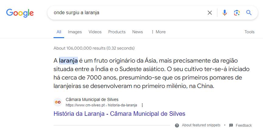 Featured Snippet Exemplo